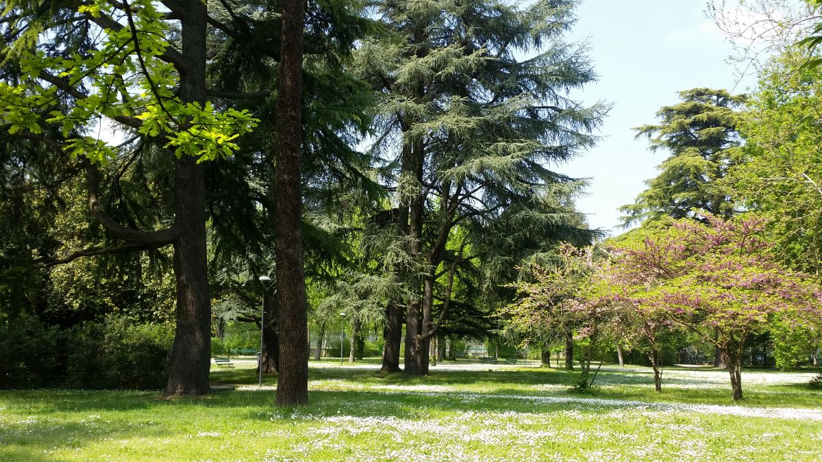 Sfondo parco